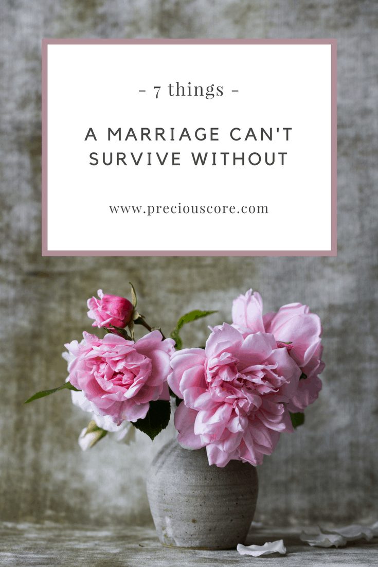 7 THINGS A MARRIAGE CAN’T SURVIVE WITHOUT