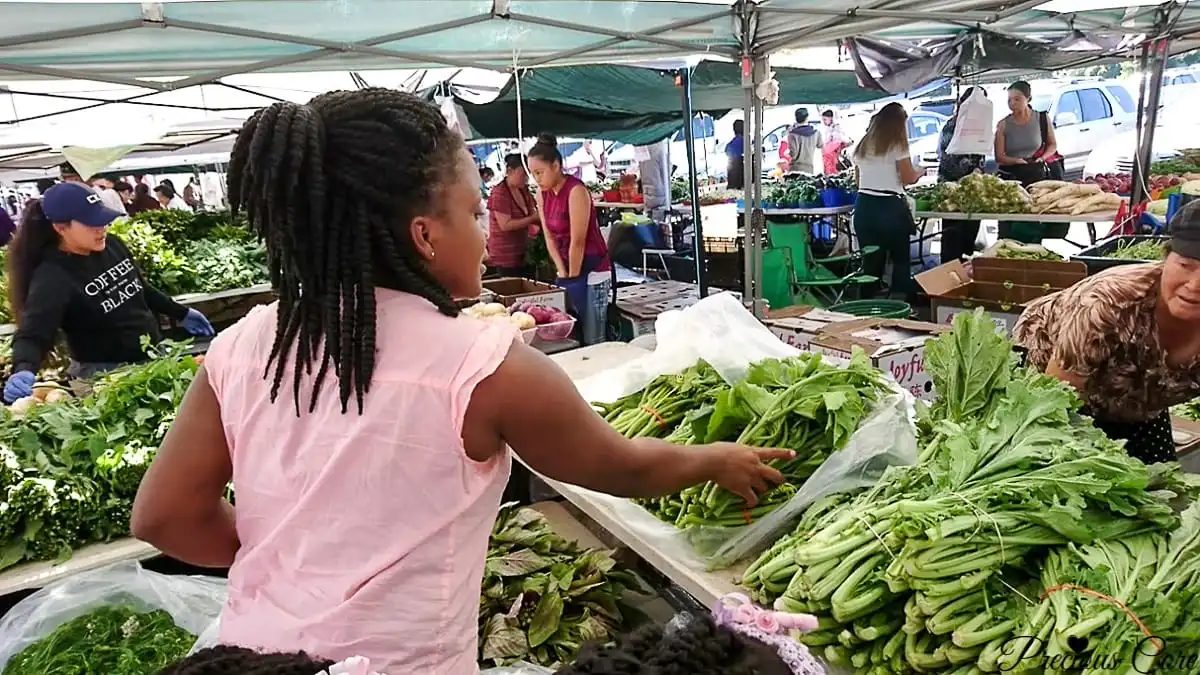 AFRICAN VEGETABLES AT THE FARMER’S MARKET IN AMERICA – MY FIRST VLOG!