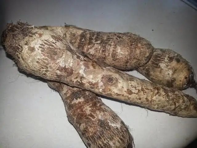 Recipe photo