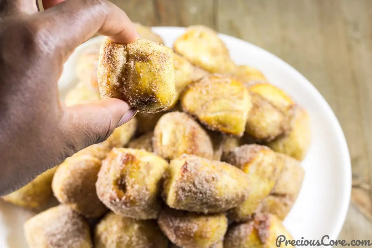 Cinnamon Sugar Pretzel Bites