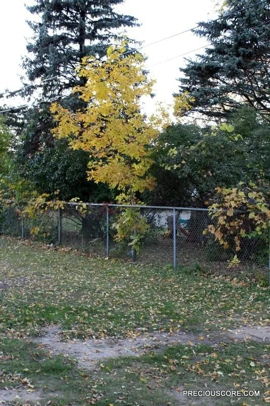 HERE’S WHAT’S UP: FALL