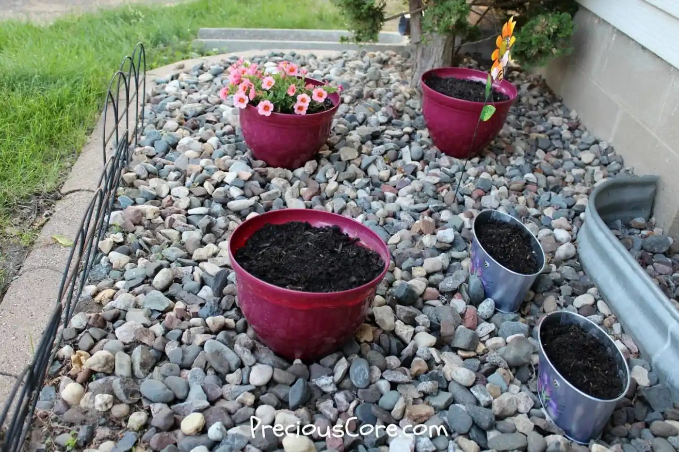 HERE’S WHAT’S UP: SO we PLANTED A GARDEN