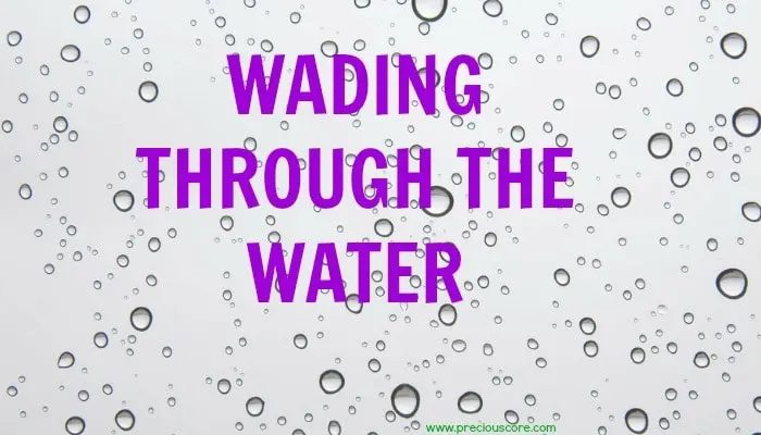 HERE’S WHAT’S UP: WADING THROUGH THE WATER