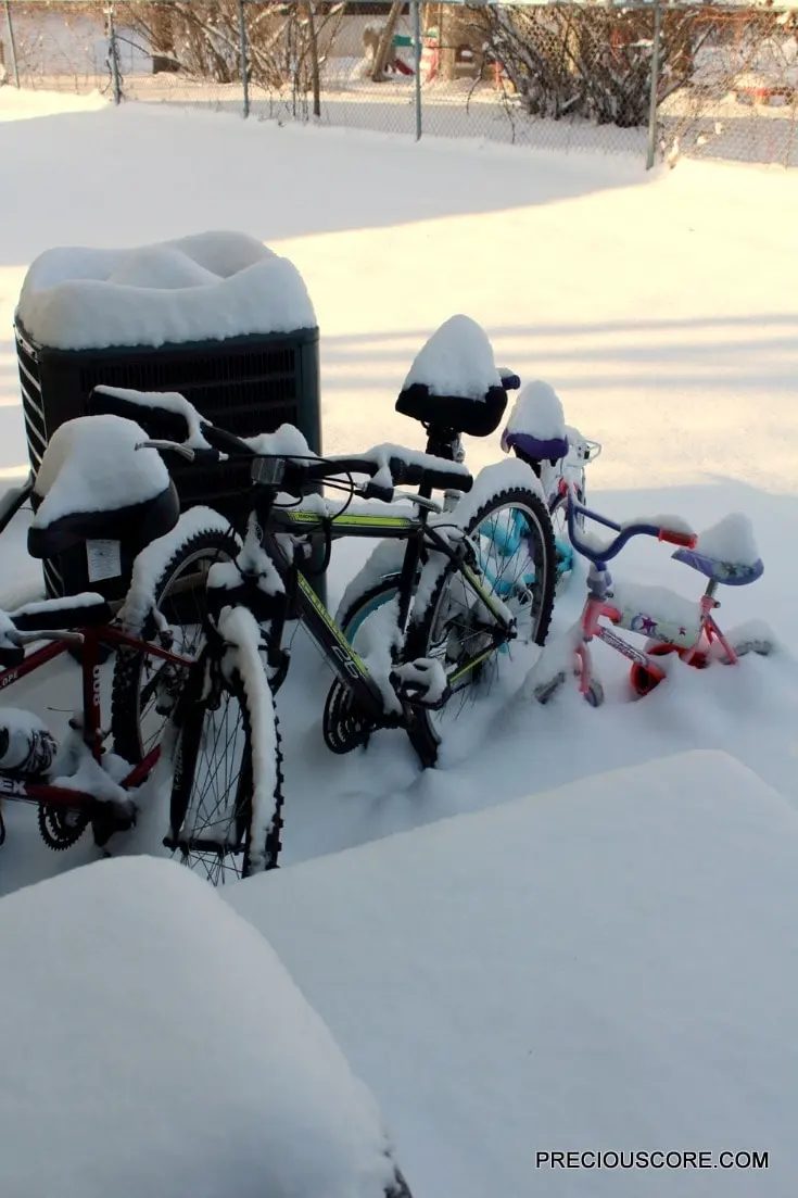 HERE’S WHAT’S UP: WINTER