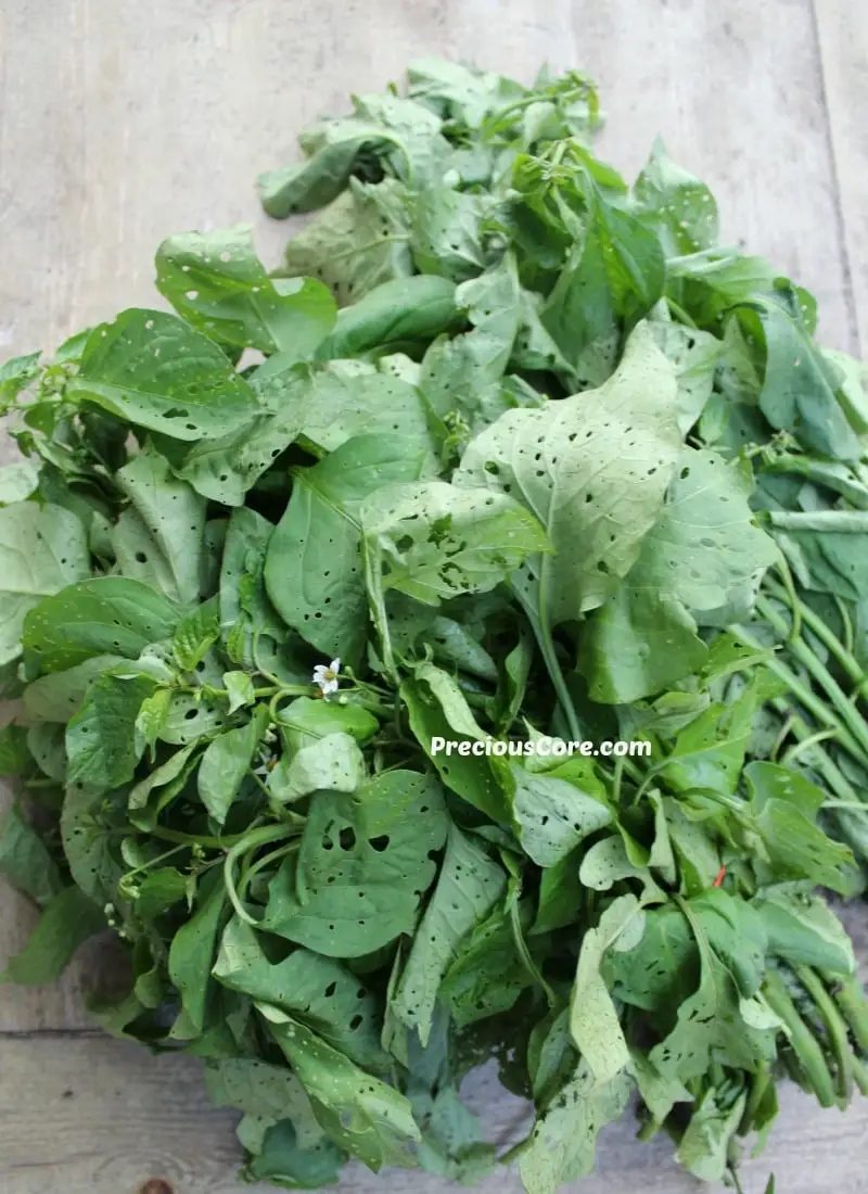 Recipe photo