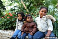 Visiting Como Zoo: What to See, Hours, Tickets, and Tips