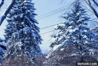 What’s New This Winter: Trends, Tips, and Must-Do Ideas