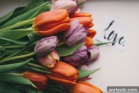 7 Essentials Every Marriage Needs to Survive and Thrive