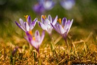 Six Things to Do This Sunday: Ideas for a Relaxing Day