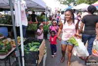 African Vegetables at U.S. Farmers Markets: First Vlog Tour