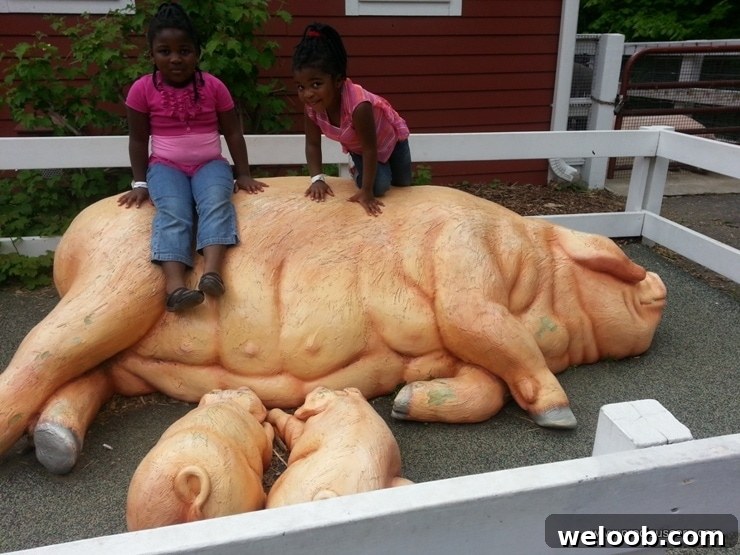 What We Discovered at the Minnesota Zoo: Highlights & Tips 12 img 103 11