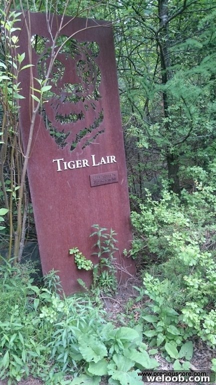 What We Discovered at the Minnesota Zoo: Highlights & Tips 13 img 103 12