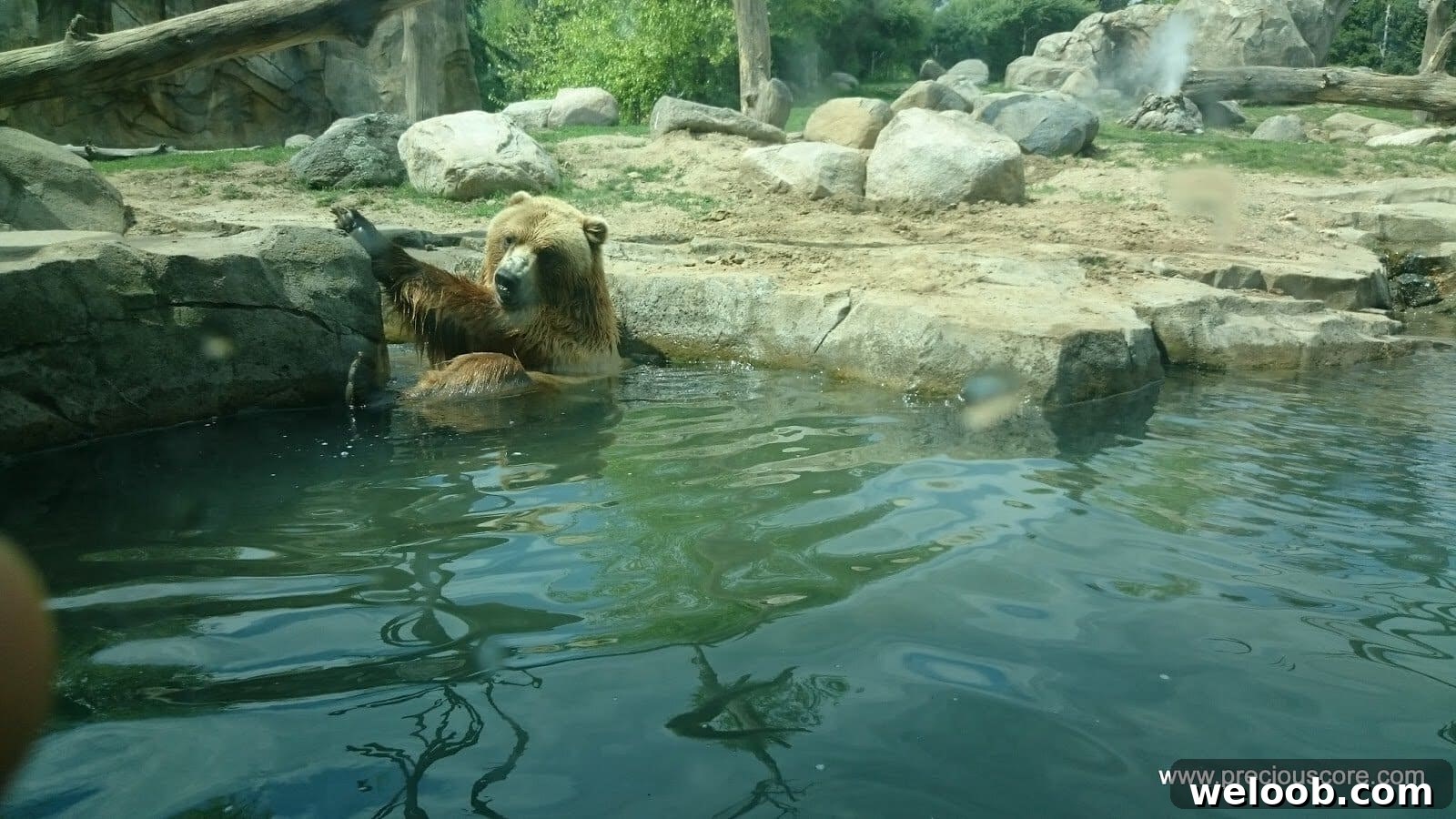 What We Discovered at the Minnesota Zoo: Highlights & Tips 16 img 103 15