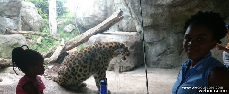 What We Discovered at the Minnesota Zoo: Highlights & Tips 20 img 103 19