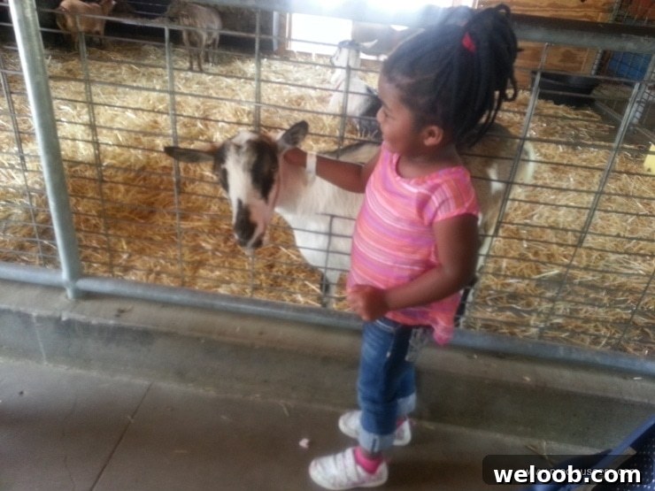 What We Discovered at the Minnesota Zoo: Highlights & Tips 3 img 103 2