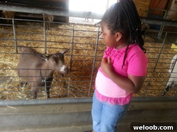 What We Discovered at the Minnesota Zoo: Highlights & Tips 4 img 103 3