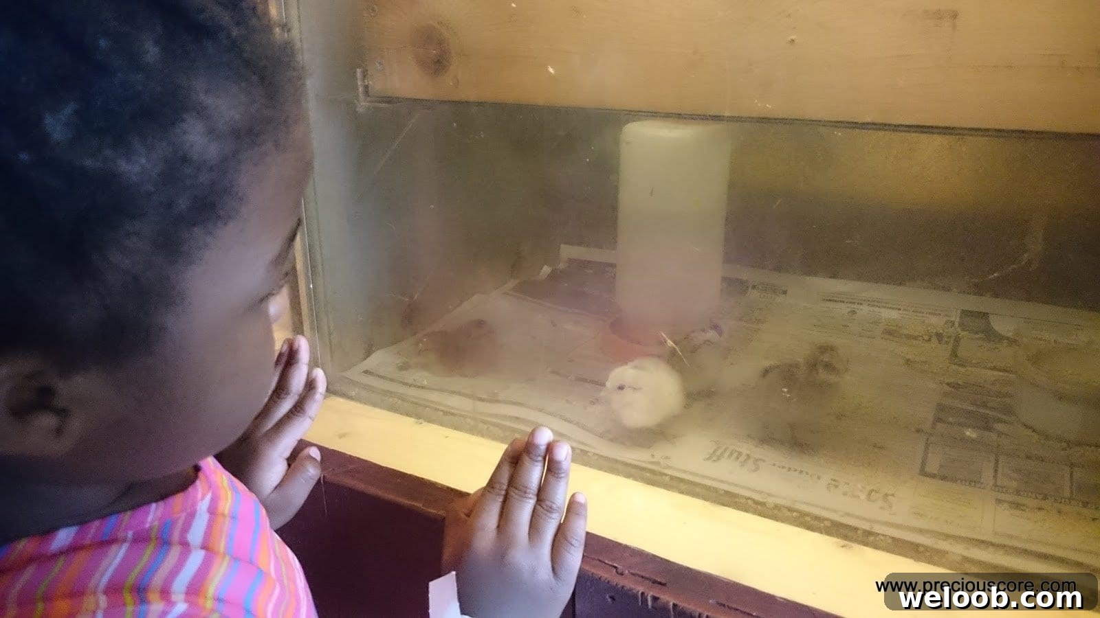 What We Discovered at the Minnesota Zoo: Highlights & Tips 8 img 103 7