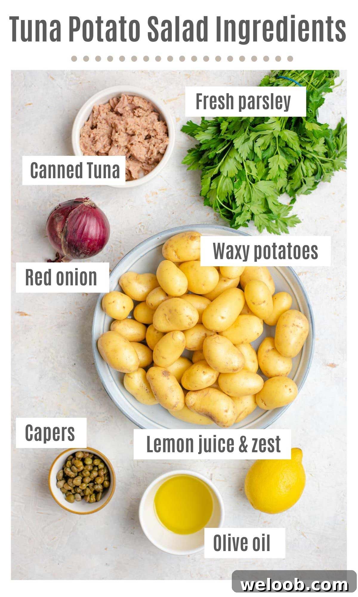 An overhead shot of all the ingredients you need to make a tuna potato salad