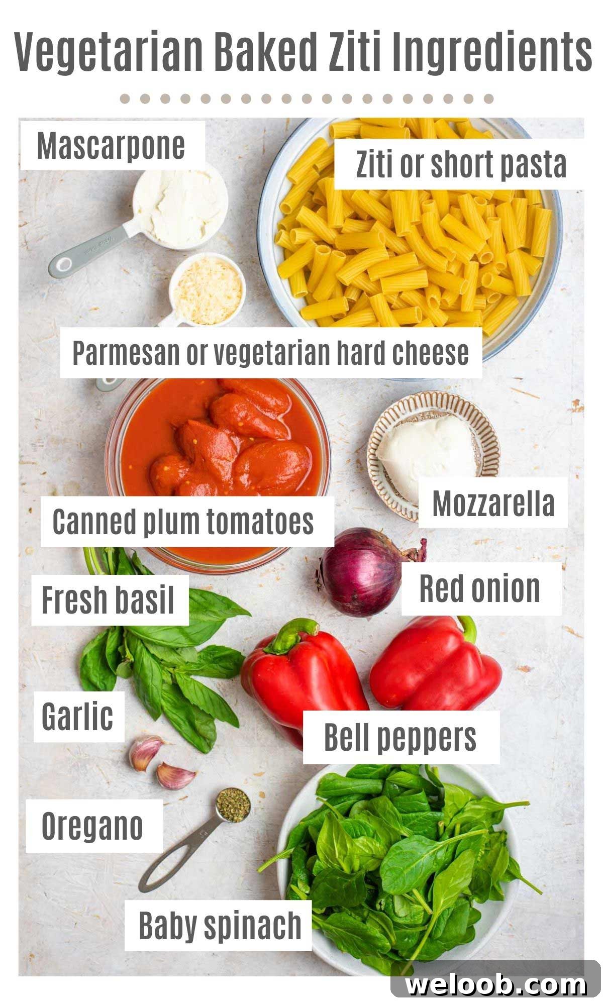 An overhead shot of all the ingredients you need to make a vegetarian baked ziti