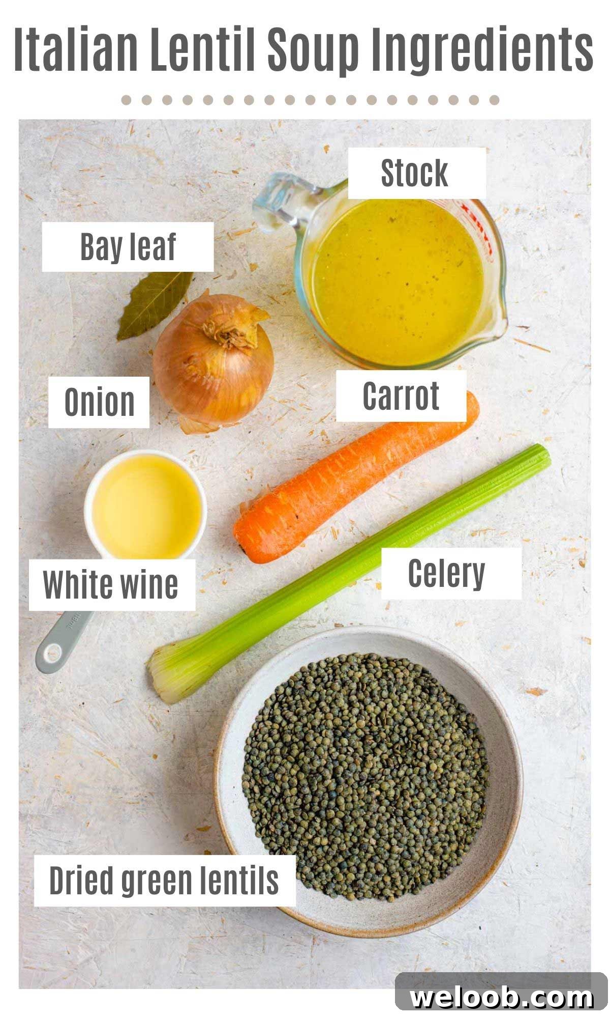 An overhead shot of all the ingredients you need to make Italian lentil soup