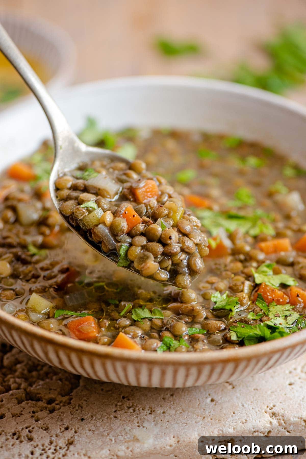 A close up of a spoonful of lentil soup