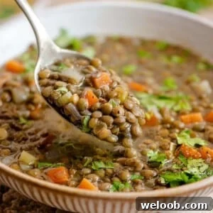 A close up of a spoonful of Italian lentil soup