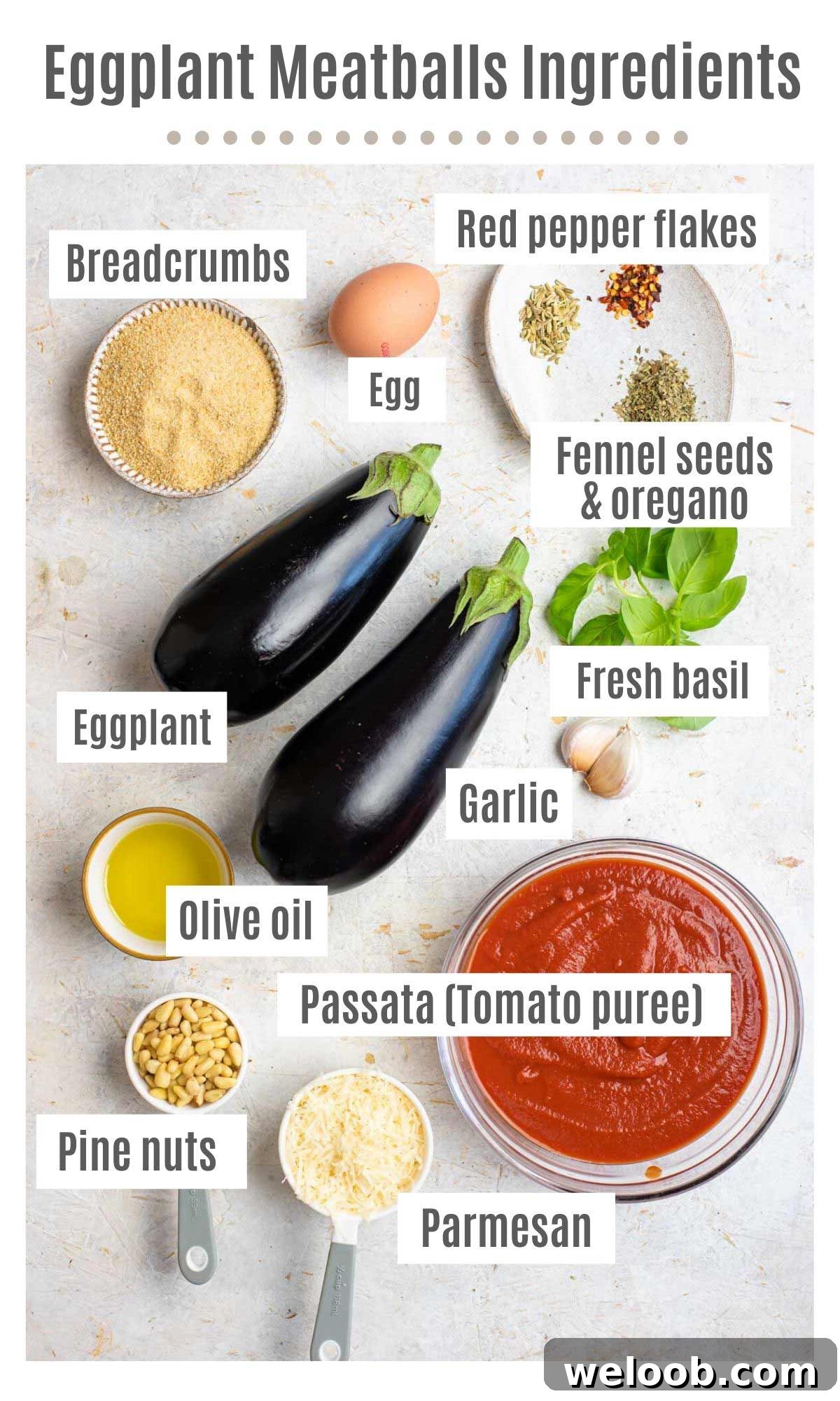 An overhead shot of all the ingredients you need to make eggplant meatballs