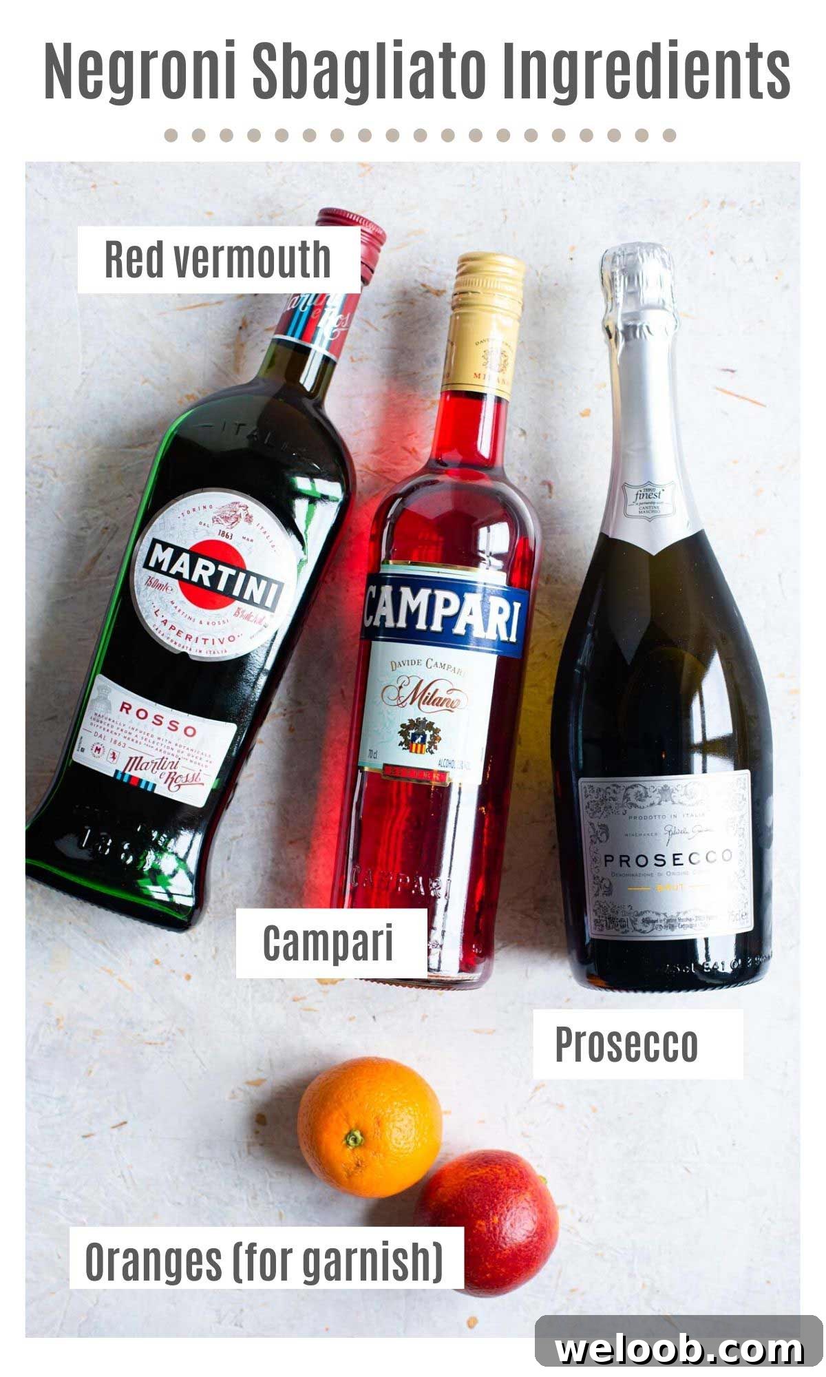 Negroni Sbagliato Cocktail Recipe and Guide 3 An overhead shot of all the ingredients you need to make a Negroni Sbagliato