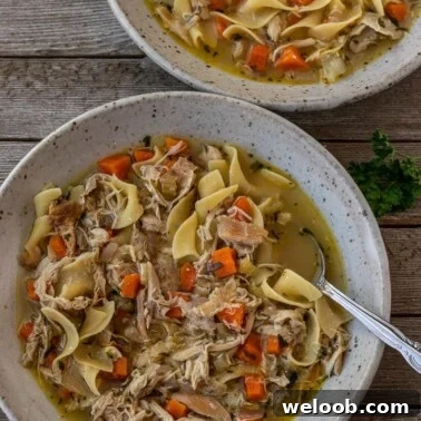 Two bowls of chicken noodle soup