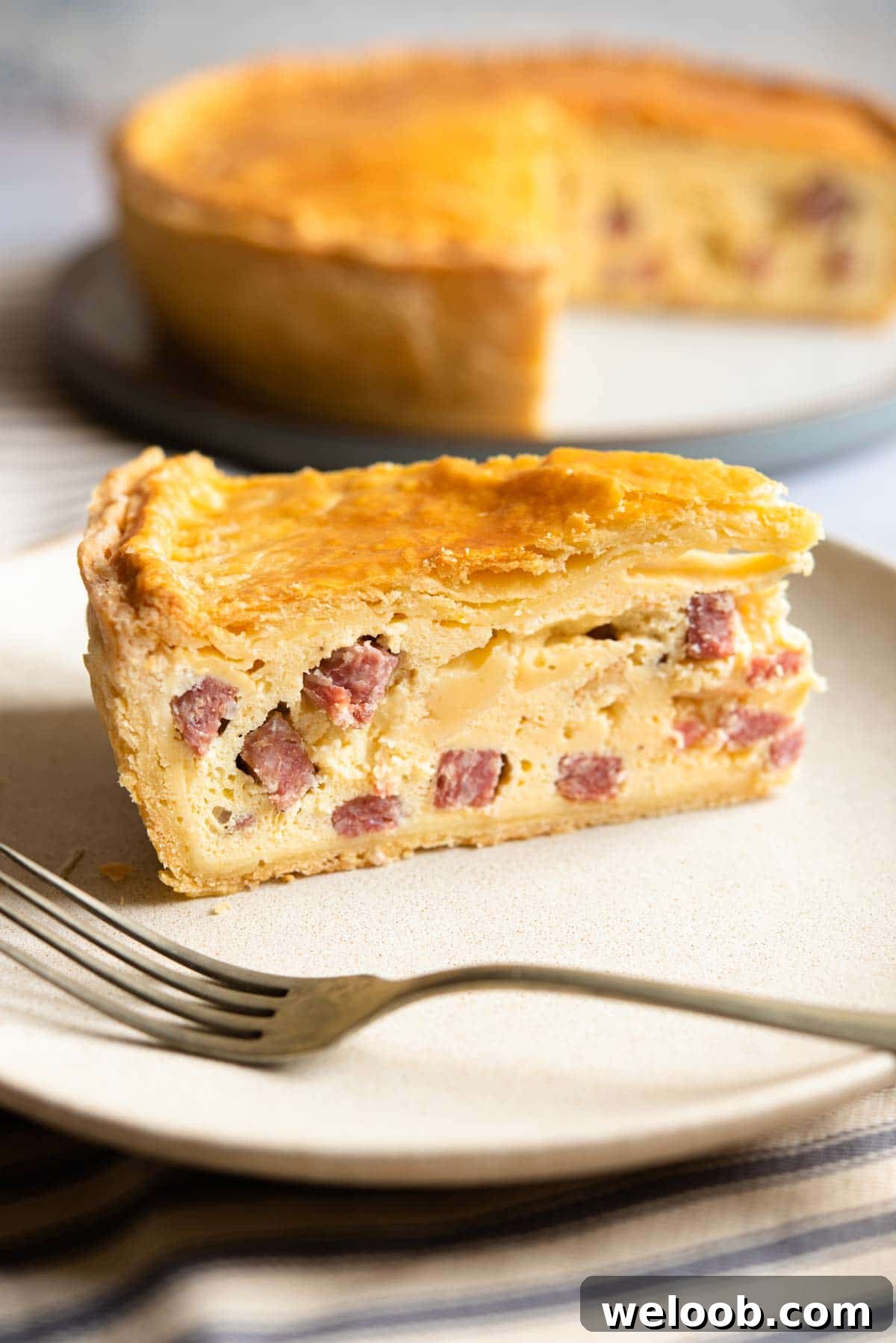 A close up of a slice of Pizza Rustica
