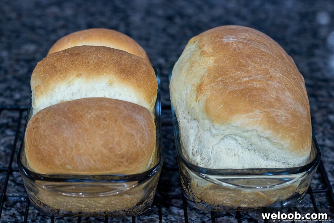 2 loaves of bread in glass loaf pans made with the Easy Sandwich Bread Recipe.