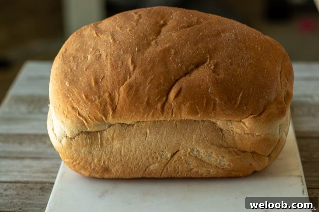 Loaf of sandwich bread on a marble board.