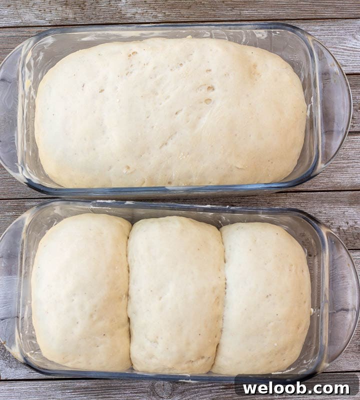 dough in loaf pans