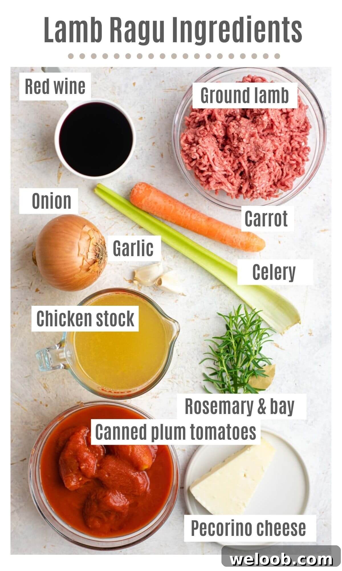 An overhead shot of all the ingredients you need to make lamb ragu