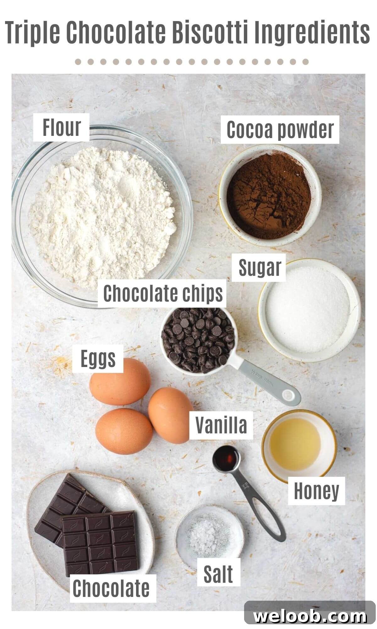 An overhead shot of all the ingredients you need to make chocolate biscotti