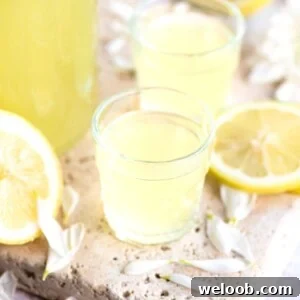 close up of small glasses of homemade limoncello