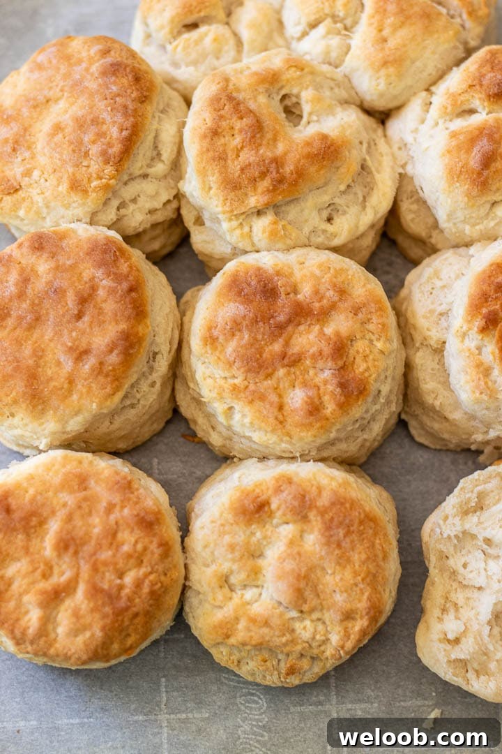 Freshly baked 3 ingredient biscuits on a baking sheet