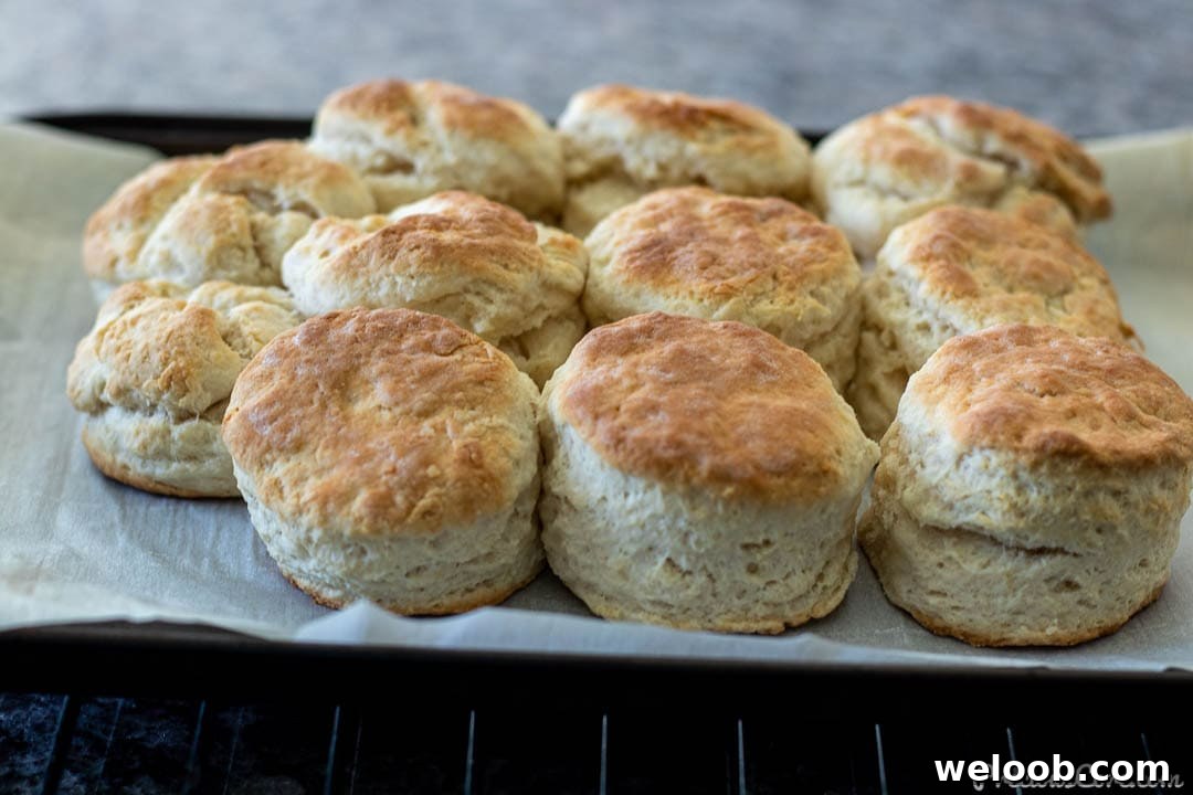 Freshly baked 3 ingredient biscuits on a baking sheet.