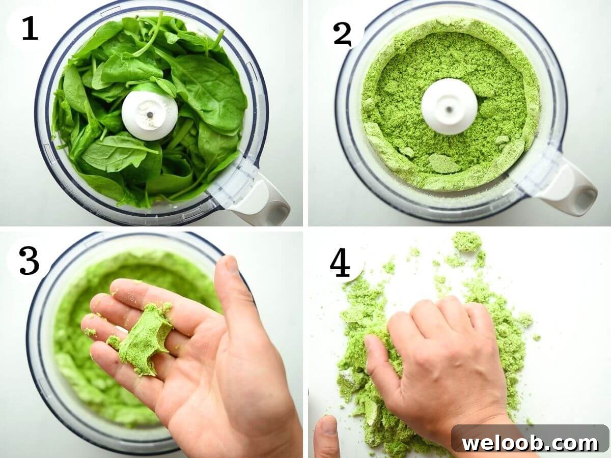 Step by step photos showing how to make spinach pasta dough in a food processor
