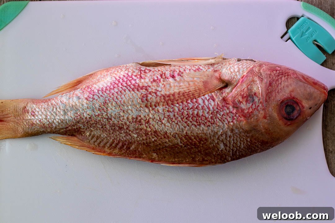 Raw whole red snapper on a chopping board