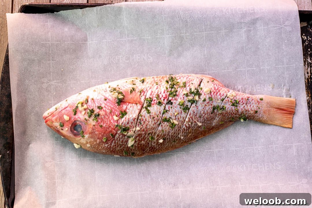 Marinated Red Snapper