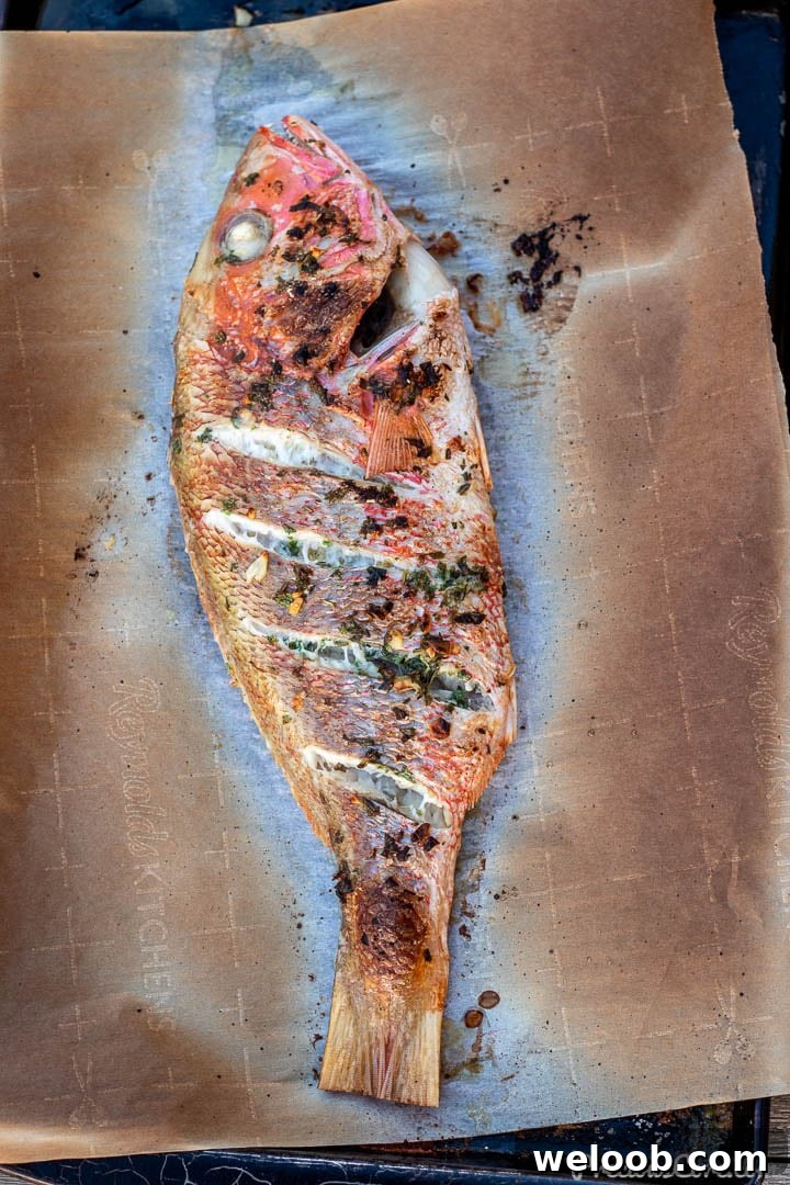 Oven Grilled Red Snapper on baking sheet