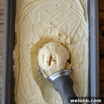 Vanilla ice cream in a loaf pan with scoop on top