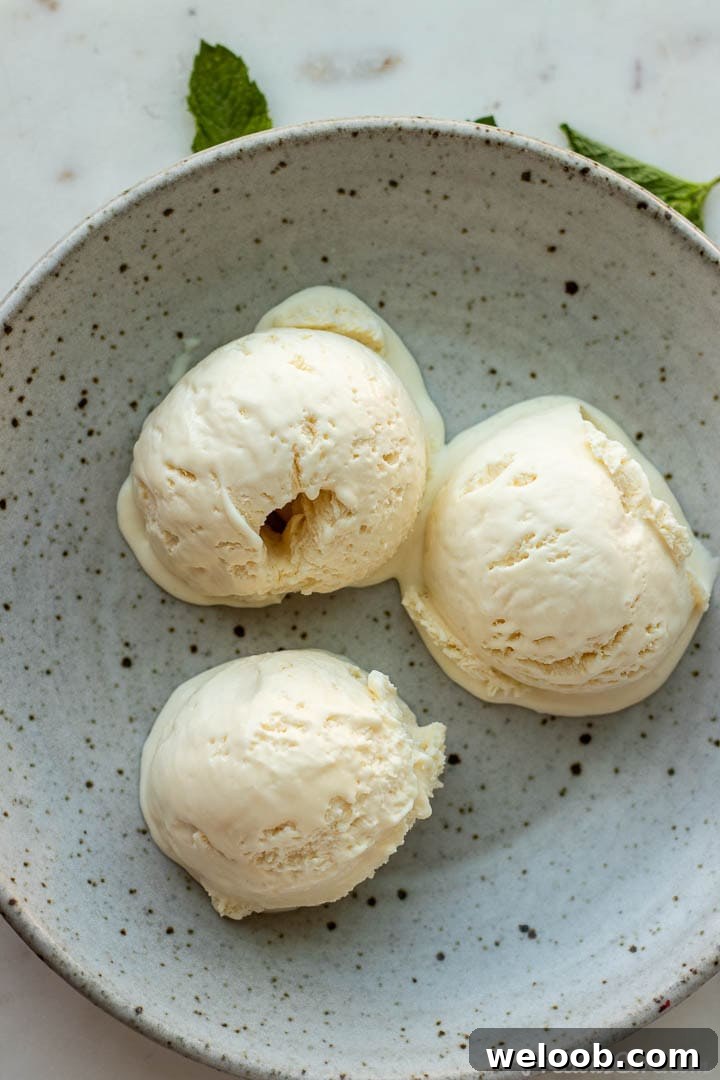 3 scoops of homemade vanilla ice cream in a bowl.