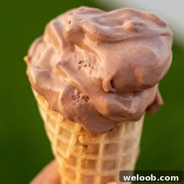 Hand holding cone of chocolate ice cream