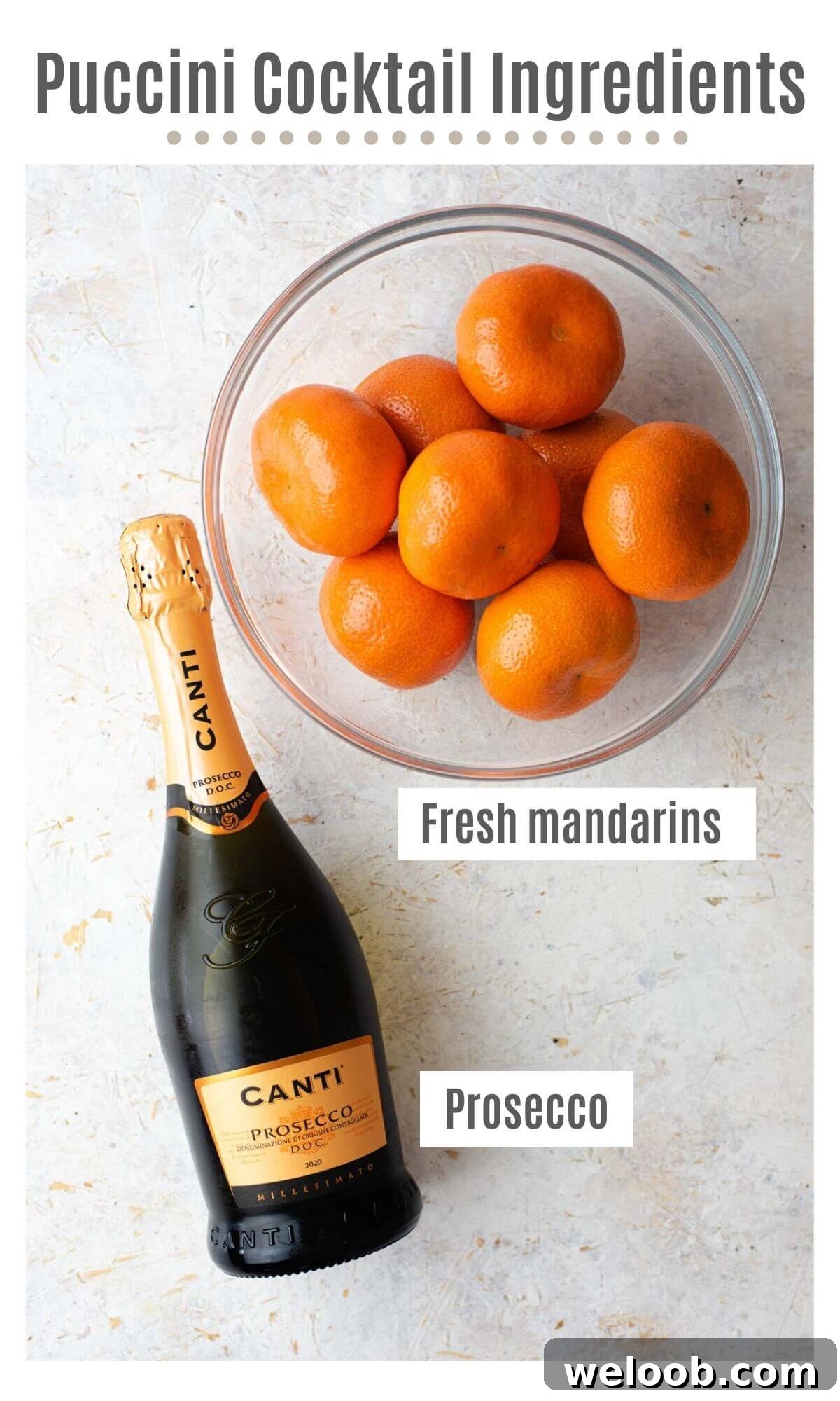 An overhead shot of all the ingredients you need to make a Puccini cocktail