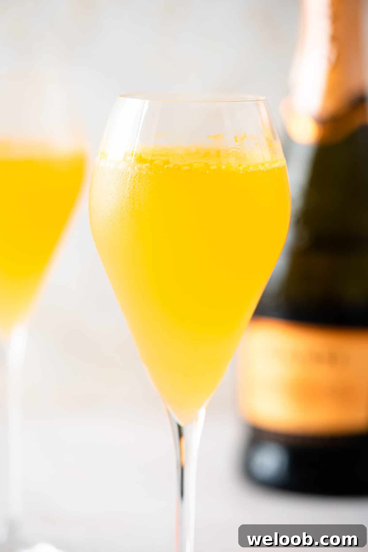 A close up of a Puccini cocktail in a flute glass