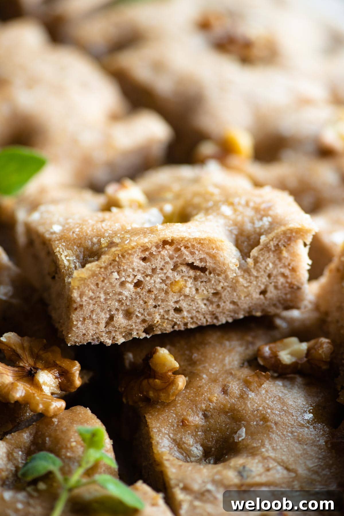 A close up of a slice of walnut focaccia showing the texture of the inside