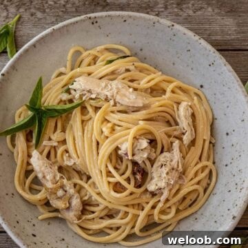easy chicken spaghetti in a bowl