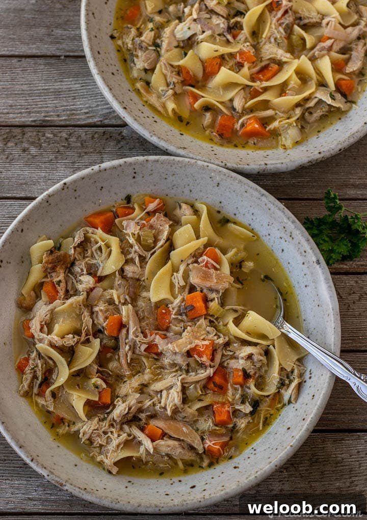 Two bowls of chicken noodle soup